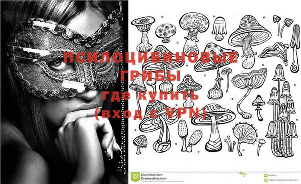 скорость Михайловск